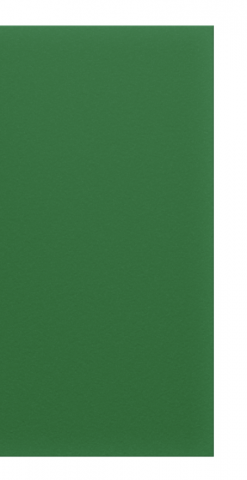 PLAQUE PE 1000 VERT 3000x1250 EP 015 mm